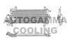 AUTOGAMMA 102639 Condenser, air conditioning